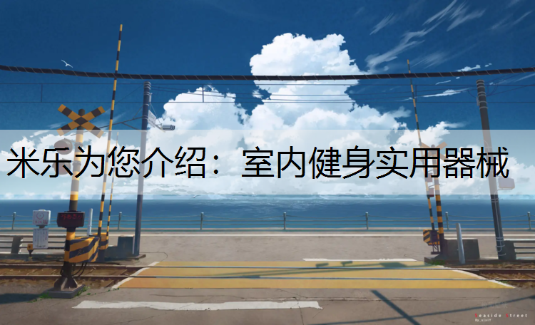 <strong>米乐为您介绍：室内健身实用器械</strong>