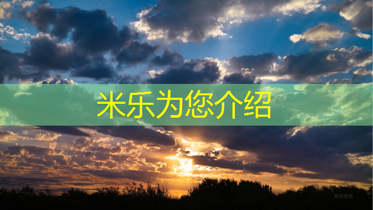 <strong>米乐为您介绍：安康塑胶跑道供应</strong>