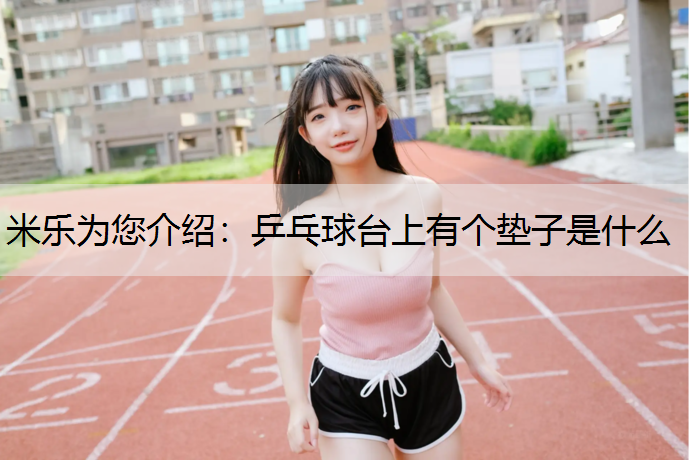 乒乓球台上有个垫子是什么